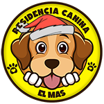 Residencia Canina El Mas 2024