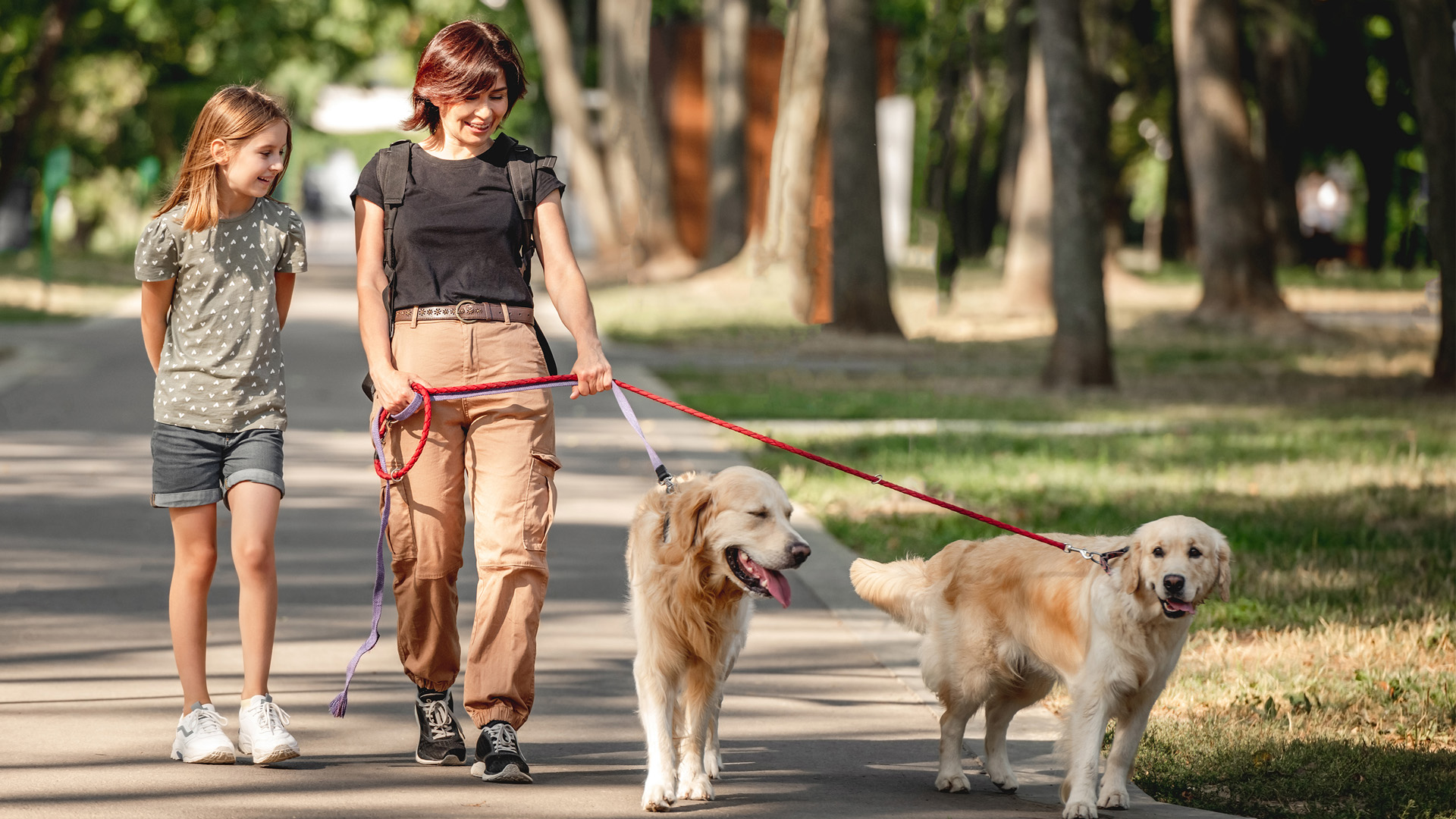 pasear mas de un perro